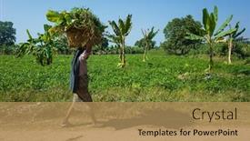  Presentation with rural road - Audience pleasing PPT theme consisting of burmese-woman-carrying-basket backdrop and a coral colored foreground