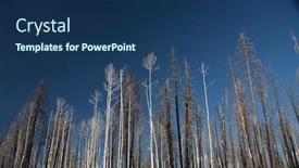  Presentation with united states - PPT theme having burned-forest-united-states-montana background and a navy blue colored foreground