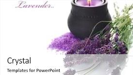  Presentation with lavender - Colorful PPT theme enhanced with burned skin - lavender backdrop and a white colored foreground