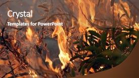  Presentation with wild fire - PPT theme enhanced with burning bush - 10-22-2007 irvine california arson set background and a tawny brown colored foreground