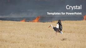  Presentation with hidden fire - Theme featuring burning bush - bird and fire background and a gray colored foreground