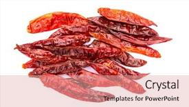  Presentation with hot pink white - Colorful PPT layouts enhanced with burning bush - chile de arbol seco dried backdrop and a  colored foreground