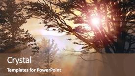  Presentation with forest fire - PPT theme having burning bush - smoke coming from a forest background and a tawny brown colored foreground