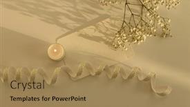  Presentation with burning paper - PPT theme having burning-candle-flower-twig background and a coral colored foreground