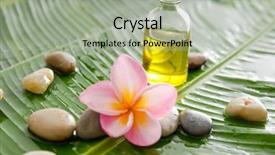  Presentation with food in banana leaf - Audience pleasing PPT layouts consisting of burning candle on wet banana backdrop and a  colored foreground