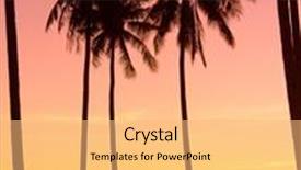  Presentation with skies - Audience pleasing PPT theme consisting of burning skies coconut horizon backdrop and a yellow colored foreground