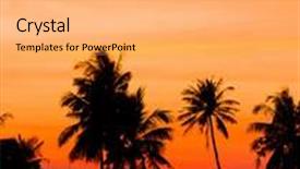  Presentation with skies - Slide set featuring burning skies coconut horizon background and a coral colored foreground