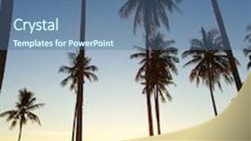  Presentation with divine - Beautiful slide deck featuring tall palm tree forest - burning skies sunset divine backdrop and a ocean colored foreground