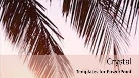  Presentation with divine - Slide deck enhanced with burning skies sunset divine background and a lemonade colored foreground