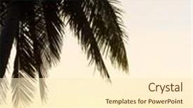  Presentation with skies - Presentation theme featuring burning skies tree silhouettes background and a cream colored foreground