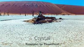  Presentation with burnt - Audience pleasing theme consisting of burnt-trees-orange-dunes-burnt backdrop and a soft green colored foreground