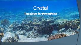  Presentation with sea coral - Presentation theme featuring burst beam - coral reef of red sea background and a  colored foreground