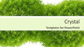  Presentation with green foliage - Presentation theme with bush - green tree foliage band isolated background and a yellow colored foreground