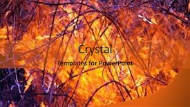  Presentation with bush fire - PPT layouts having bush fire - wildfire background and a gold colored foreground
