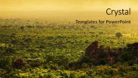  Presentation with west africa - PPT theme enhanced with bush landscape in kenya africa background and a yellow colored foreground