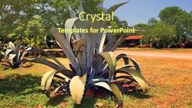  Presentation with farm - Cool new PPT theme with bush-of-a-blue-agave backdrop and a tawny brown colored foreground