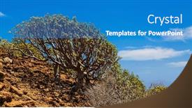  Presentation with blue mountain - Audience pleasing presentation design consisting of bush-on-the-slope backdrop and a teal colored foreground