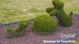  Presentation with park - PPT layouts having bush-sculpture-in-park-durbuy background and a gray colored foreground