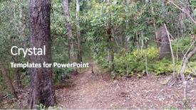  Presentation with plant - Presentation design featuring bush track into native plant background and a gray colored foreground