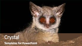  Presentation with south africa - Audience pleasing slide set consisting of gigits on red credit card backdrop and a violet colored foreground.