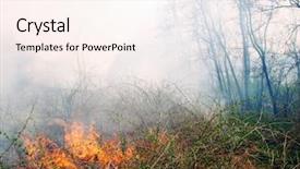  Presentation with forest - Presentation theme with bushfire - deciduous forest is burning background and a pink colored foreground