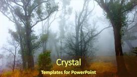  Presentation with thorn forest - Slides featuring bushfire - fog surrounds grampians forest background and a  colored foreground