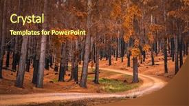  Presentation with australia - Theme enhanced with bushfire - forest in adelaide hills south background and a tawny brown colored foreground