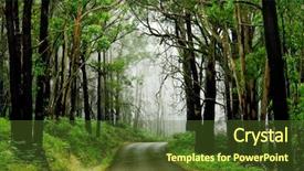  Presentation with fork road - Audience pleasing PPT theme consisting of bushfire - forest road with fog backdrop and a tawny brown colored foreground