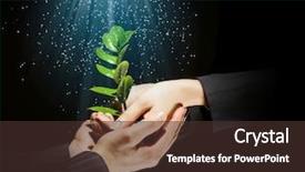  Presentation with black babies hands and feet in black human hands - Audience pleasing PPT theme consisting of business growth plants - green sprout in human hands backdrop and a tawny brown colored foreground