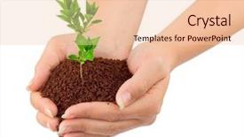  Presentation with plant growth - Audience pleasing presentation consisting of business growth plants - hands and plant isolated backdrop and a lemonade colored foreground