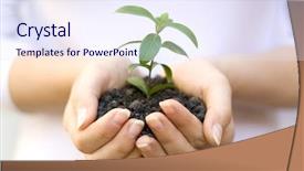  Presentation with plant growth - Audience pleasing presentation consisting of business growth plants - one plant in female hands backdrop and a sky blue colored foreground