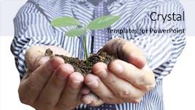  Presentation with plant growth - Slides having business growth plants - plant in hands background and a light blue colored foreground