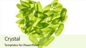  Presentation with mint - Presentation theme enhanced with basil mint leaves transparent hearth background and a yellow colored foreground