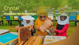  Presentation with honey bee - Theme featuring business-partners-with-an-experienced background and a tawny brown colored foreground