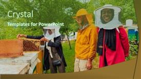  Presentation with honey bee - Slides with business-partners-with-an-experienced background and a tawny brown colored foreground