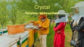  Presentation with honey bee - PPT layouts having business-partners-with-an-experienced background and a tawny brown colored foreground