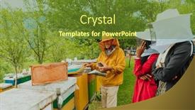  Presentation with honey bee - PPT theme having business-partners-with-an-experienced background and a tawny brown colored foreground