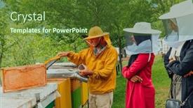  Presentation with honey bee - Presentation design consisting of business-partners-with-an-experienced background and a tawny brown colored foreground