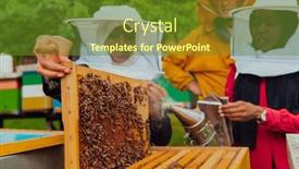 Presentation with honey bee - PPT layouts featuring business-partners-with-an-experienced background and a tawny brown colored foreground
