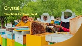  Presentation with bee - Presentation theme having business-partners-with-an-experienced background and a tawny brown colored foreground