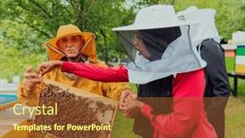  Presentation with bee - Slides enhanced with business-partners-with-an-experienced background and a tawny brown colored foreground