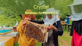  Presentation with bee - PPT layouts consisting of business-partners-with-an-experienced background and a tawny brown colored foreground