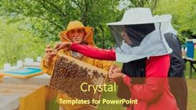  Presentation with honey bee - Theme enhanced with business-partners-with-an-experienced background and a tawny brown colored foreground
