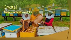  Presentation with honey bee - Slide deck consisting of business-partners-with-an-experienced background and a tawny brown colored foreground