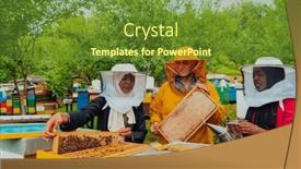  Presentation with honey bee - Presentation theme featuring business-partners-with-an-experienced background and a tawny brown colored foreground