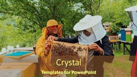  Presentation with honey bee - Presentation theme having business-partners-with-an-experienced background and a tawny brown colored foreground