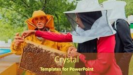  Presentation with honey bee - Slide deck with business-partners-with-an-experienced background and a tawny brown colored foreground