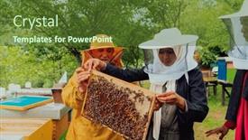  Presentation with honey bee - Theme enhanced with business-partners-with-an-experienced background and a tawny brown colored foreground