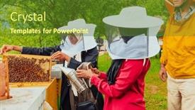  Presentation with honey bee - Slide set enhanced with business-partners-with-an-experienced background and a tawny brown colored foreground