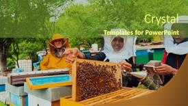  Presentation with honey bee - Slide set with business-partners-with-an-experienced background and a tawny brown colored foreground